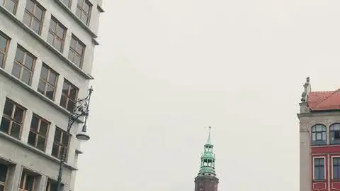 Tomasz Wasilewski o filmie "Głupcy" na festiwalu Nowe Horyzonty