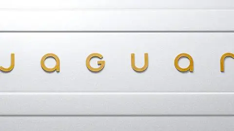Jaguar przeprowadza rebranding. Nowe logo i grupa docelowa
