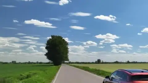 elektryki