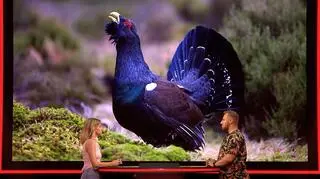 "The Floor". Sprawdź, jak dobrze znasz mieszkańców lasu. Uczestniczka zdziwiła się na widok tego ptaka! [PRZED EMISJĄ W TV]