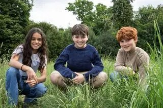 Harry Potter serial