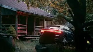 Behawiorysta: Horst więzi Gerarda