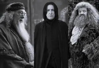 To ich pokochali fani "Harry'ego Pottera". Przypominamy zmarłe gwiazdy oraz ich kultowe role w serii