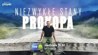 Niezwykłe Stany Prokopa 