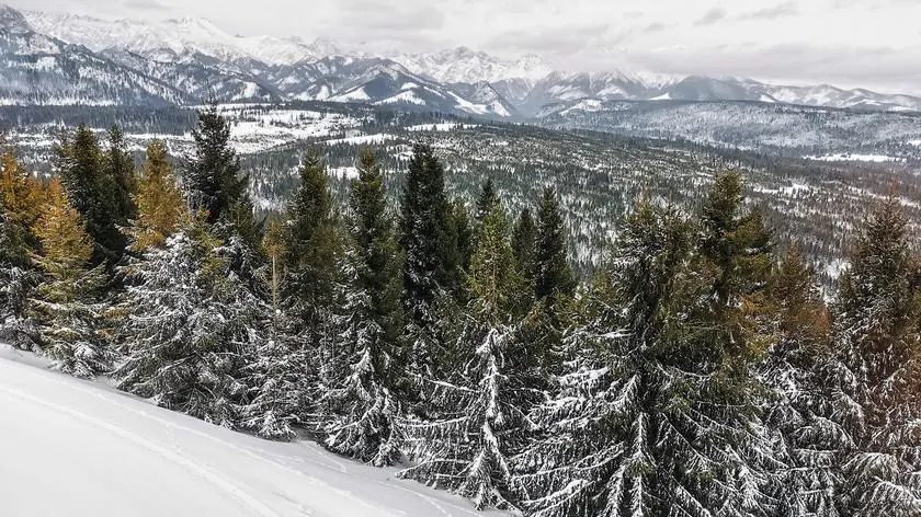 Bukowina Tatrzańska – zimowa stolica relaksu i górskich emocji
