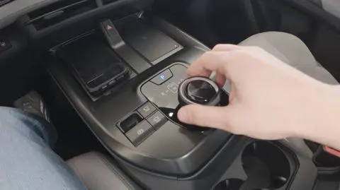Czego Polacy chcą od samochodów? Nadmiar elektronicznych gadżetów nas odstrasza