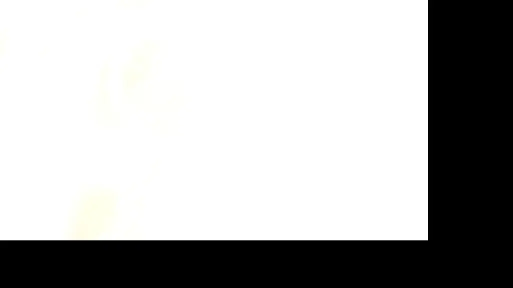 250225_ycd_odc1_tc1_ppr_www