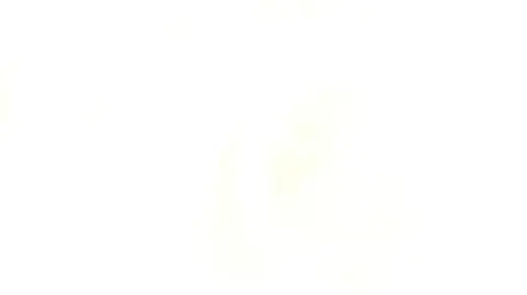 250225_ycd_odc1_tc1_ppr_www