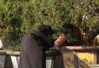 Chwile grozy w Azji Express! Józek wymiotował ze zmęczenia!