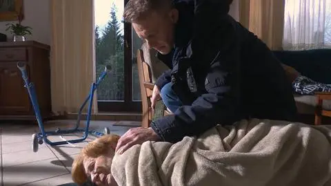 "Na Wspólnej", odcinek 3988