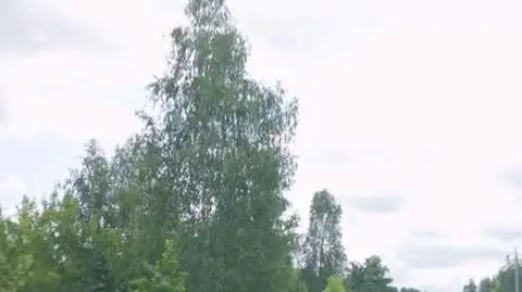 Z drugiej ręki - seria 1, odcinek 7