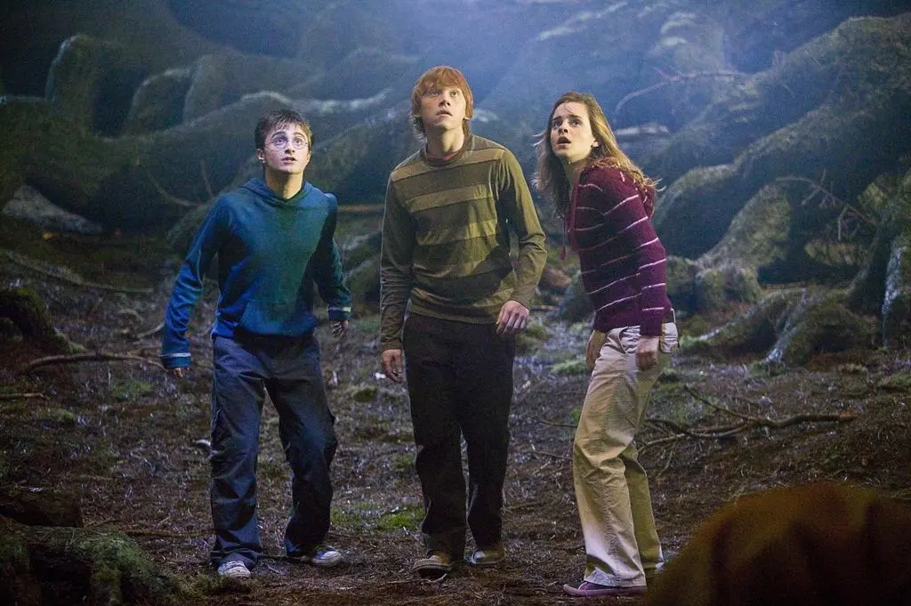 Harry Potter i zakon Feniksa