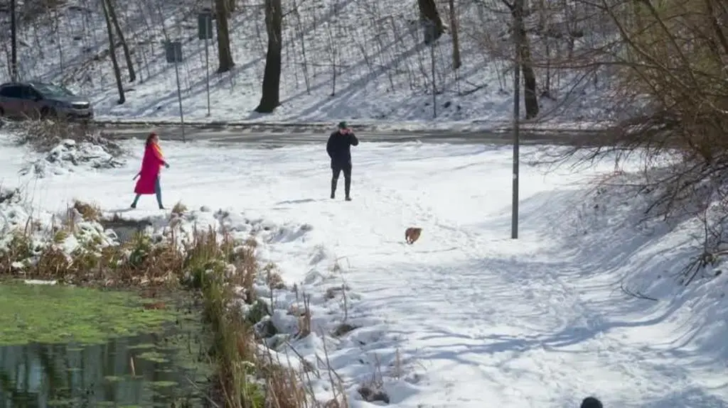 221115_SOPW_odc11_www_5