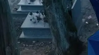 Szadź 3: Polkowska naraziła Mrówca na problemy!