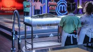 MasterChef Junior 8, odcinek 1