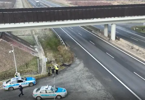 Macie ciężką nogę? Najwyższy czas zdjąć ją z gazu