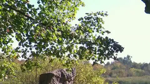250114_NA_WSPOLNEJ_s23_odc3950_fr5