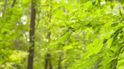 las