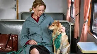 Opadające liście