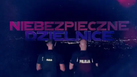 Niebezpieczne dzielnice - seria 1