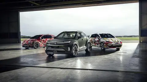 Volkswagen i marki koncernu wprowadzają tanie elektryki. Zadebiutują w cenach poniżej 25 tys. euro 