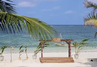 Trzy najlepsze sezony "Hotelu Paradise". Które edycje zapisały się w pamięci widzów?