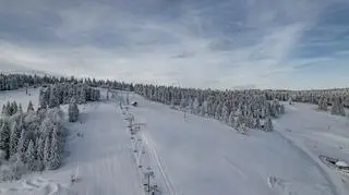 Zieleniec Sport Arena