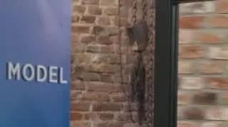 "Jak peruka!". Które uczestniczki "Top Model" płakały podczas metamorfoz fryzur?