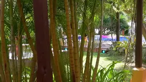 "Hotel Paradise 10"