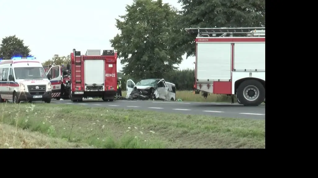 Kolizja z kierowcą z zagranicy – jak postępować?