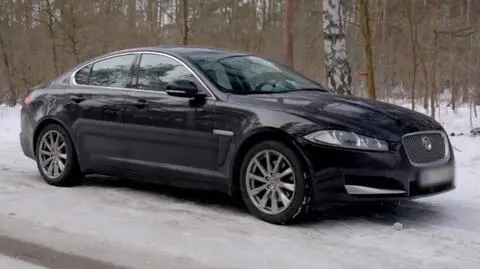 Przemek wybierze się na oględziny Jaguara XF.