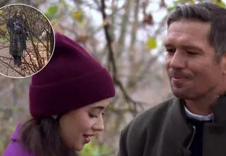 "Na Wspólnej" odc. 3965. Czy Olka zdemaskuje Alana zanim będzie za późno? [PRZED EMISJĄ W TV] 