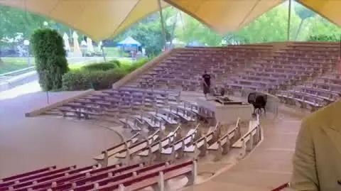 Projekt Plaża 2025
