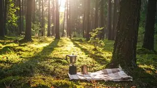 Zanurzenie w ciszy – rytuał obecności