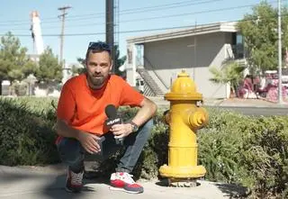 Ciekawe przepisy obowiązujące na amerykańskich drogach