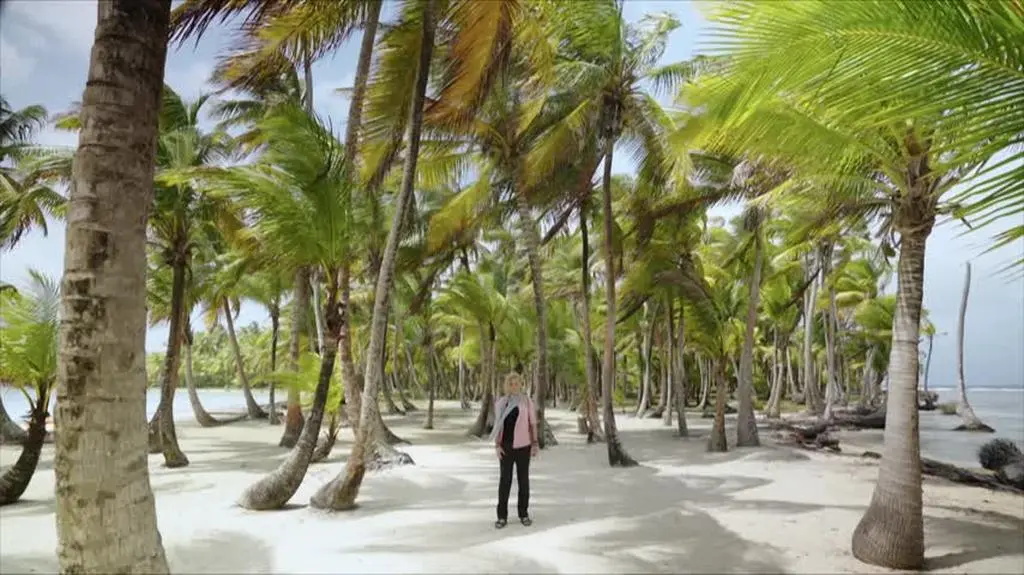 231019_knks_odc8_1_www