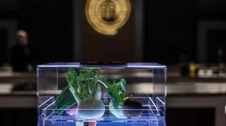 MasterChef Junior: Odcinek 6