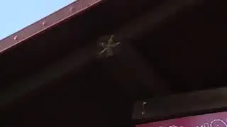 Kuchenne rewolucje: Powrót Magdy Gessler!