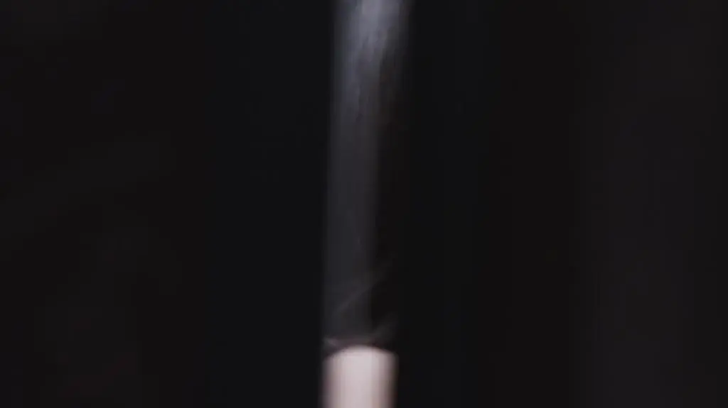 240917 ANATOMIA PIEKNA_odc 04_Sub_04