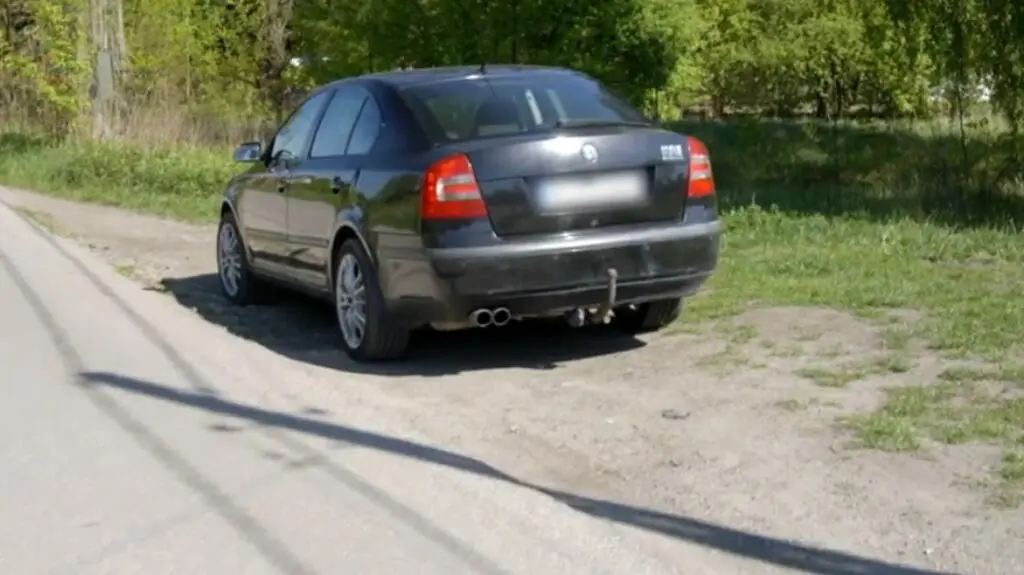 Przemek zdecyduje się na Skodę Fabię