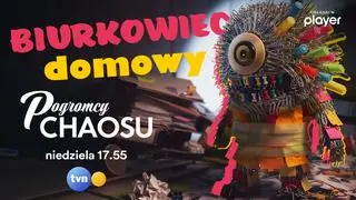 Pogromcy chaosu: Biurkowiec Domowy