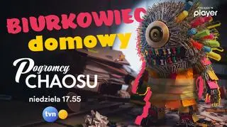 Pogromcy chaosu: Biurkowiec Domowy