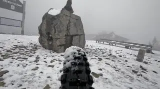 Pokonaj mnie, jeśli potrafisz: Rozenek-Majdan przegrywa z Kajetanowiczem