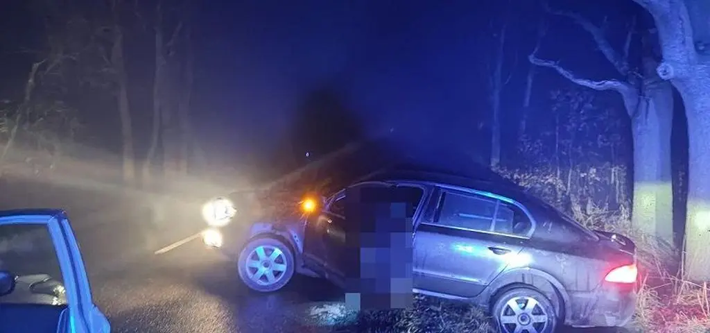 4 promile, zakaz sądowy i rów zamiast drogi. 39-latek z Legnicy znów w rękach policji