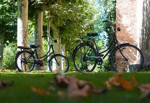 Fotoradary dla rowerzystów? Kontrowersyjny pomysł z Niemiec
