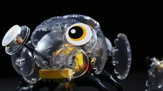 LEGO Masters: Budowla Stanisława i Wojtka, odcinek 1, zadanie 1