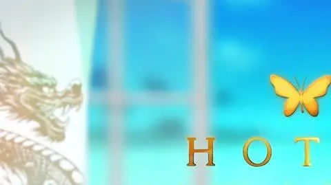 Hotel Paradise 9