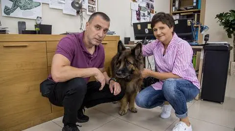 Detektywi, odcinek 31