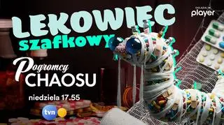 Pogromcy chaosu: Lekowiec Szafkowy