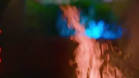 "Hotel Paradise 10"